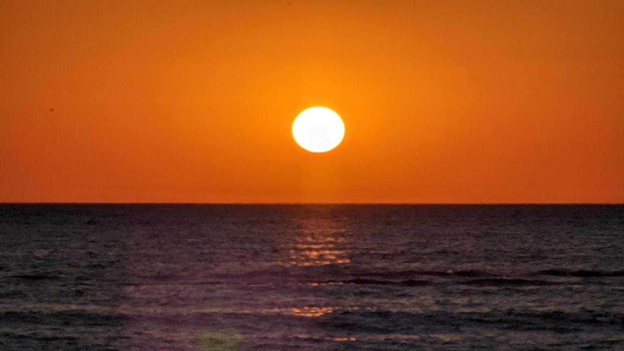 Nieuw Strand Petten Eksteriør bilde